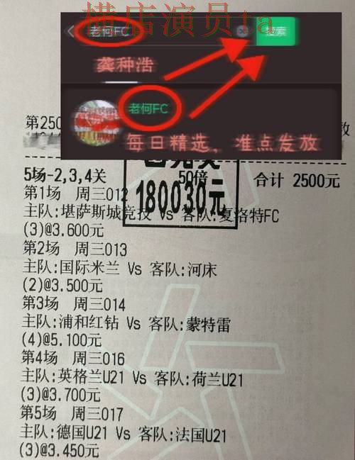 深度评测世界杯投注入口：从用户反馈到使用全流程解析 - World Cup 2026